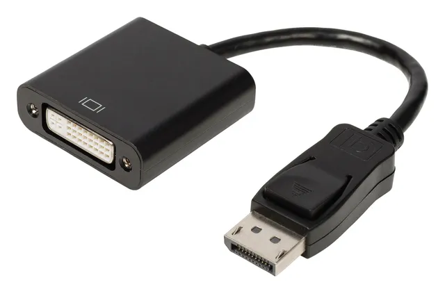 Adapter Displayport till DVI