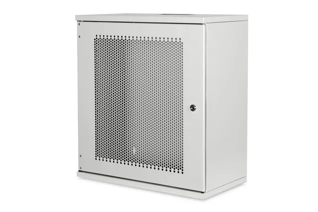 Professional DN-19-12U-S-PD - cabinet - 12U