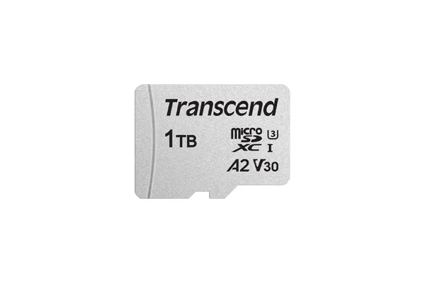 300S microSD/SD - 100MB/s - 1TB