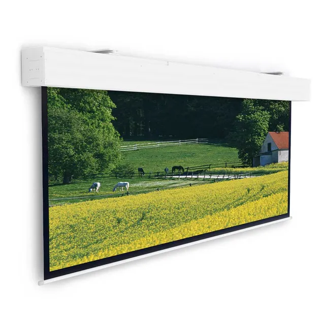 Projecta Elpro Large Electrol Wide Format - Projektorduk - takmontering, väggmontering - motoriserad - 230 V - 228" (578 cm) - 16:10 - Matte White - R