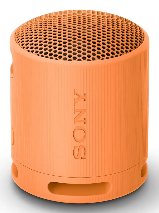 SRS-XB100 – bärbar Bluetooth-högtalare