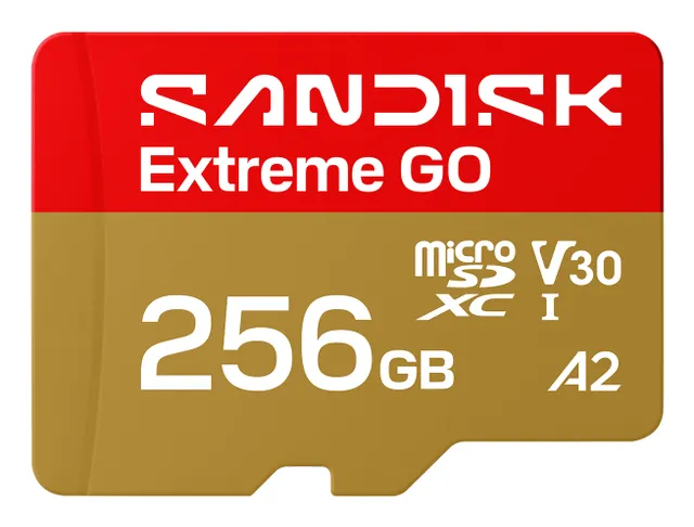 Extreme Go - Flash-minneskort - 256 GB - A