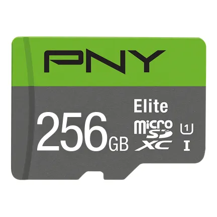 Elite Micro SD V10 minneskort 256 GB