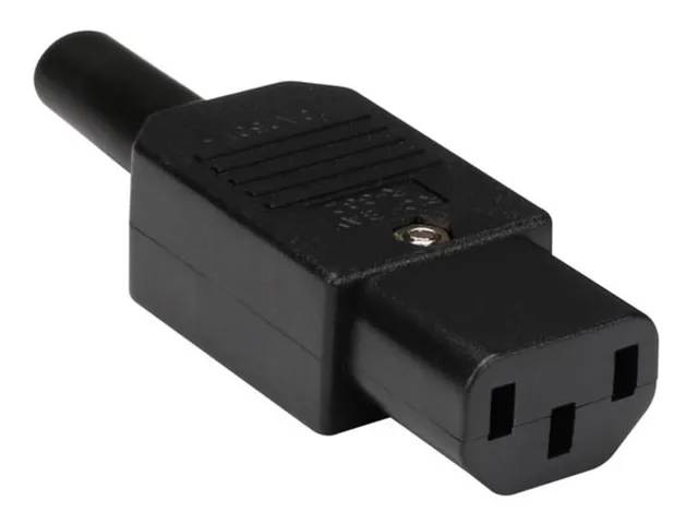 C13