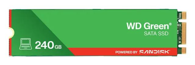 Green WDS240G3G0B - SSD - 240 GB - inbyggd - M.