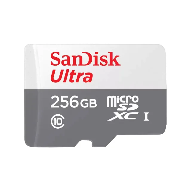 Ultra - Flash-minneskort - 256 GB - Class