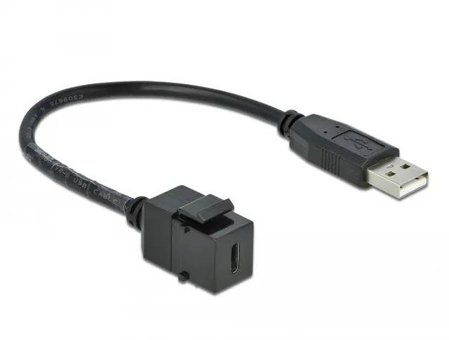 - Modulär insättning - USB Typ C - svart
