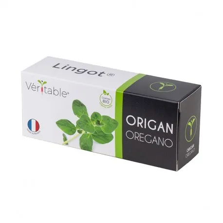 Lingot Organic Oregano