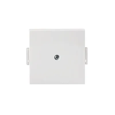Centre plate blind white