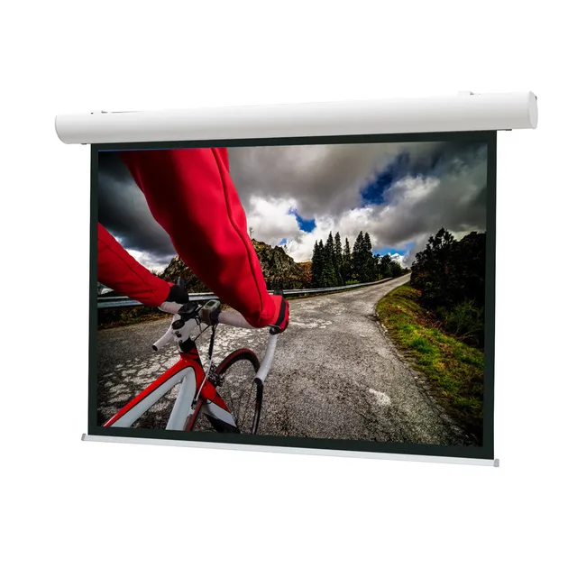 Projecta Elpro Concept RF HDTV Format - Projektorduk - takmontering, väggmontering - motoriserad - 230 V - 131" (333 cm) - 16:9 - Matte White - RAL 90