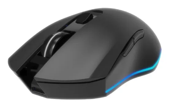 "Firebolt" - mouse - rechargeable RGB - 2.4 GHz - black - Mouse - Optic - 6 knappar - Svart