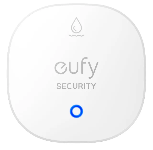 Security Water Freeze Sensor