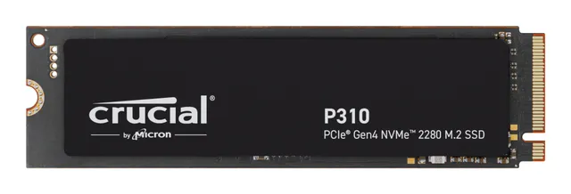 P310 M.2 NVMe SSD 2TB