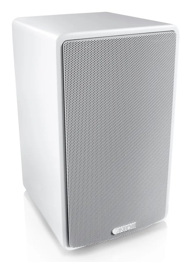 AM5 - monitor speaker