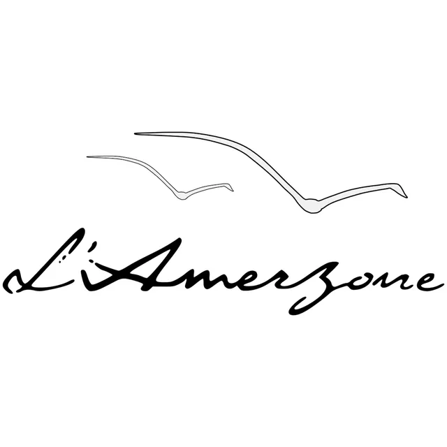 Amerzone: The Explorer's Legacy - Microsoft Xbox Series X - Äventyr
