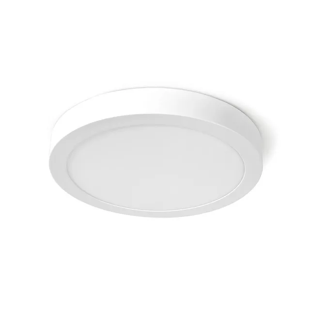 SmartLife Taklampa 300 x 38 mm