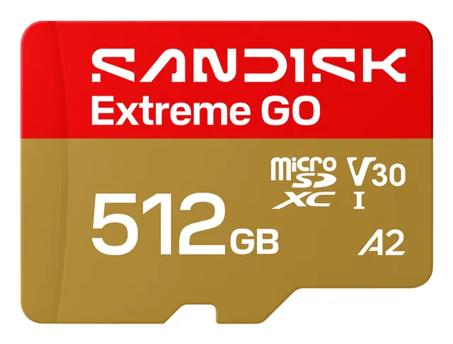 Extreme Go - Flash-minneskort - 512 GB - A