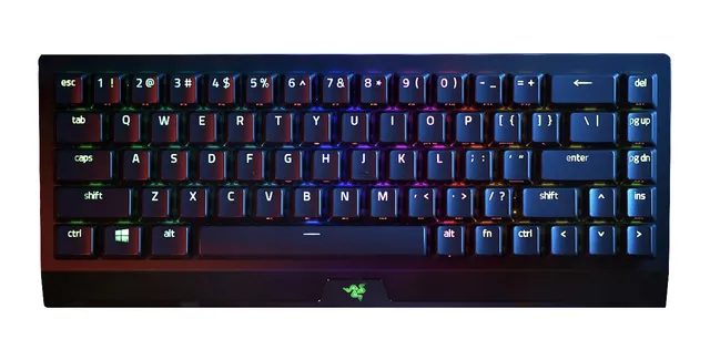BlackWidow V3 Mini - Yellow - US - Tangentbord - Engelska (US) - Svart