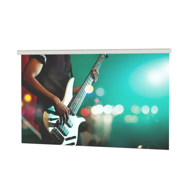 Projecta Studio Electrol 563x900 Matte W