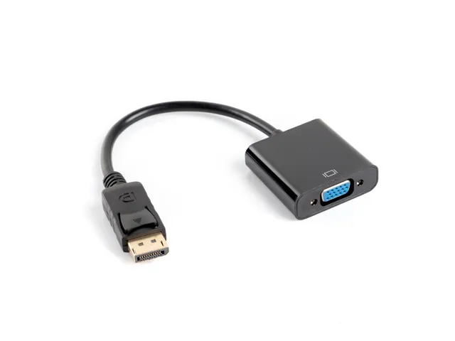 Displayport Hane till VGA Hona Adapter