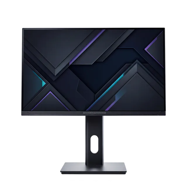 24" 1080p 200Hz IPS Skärm