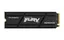 Fury Renegade Heatsink M.2 1TB SSD
