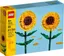Botanicals Solrosor 40524