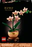 Botanicals Miniorkidé 10343