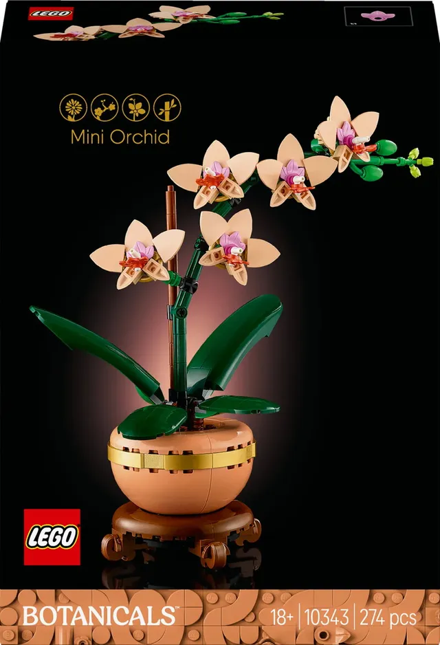 Botanicals Miniorkidé 10343