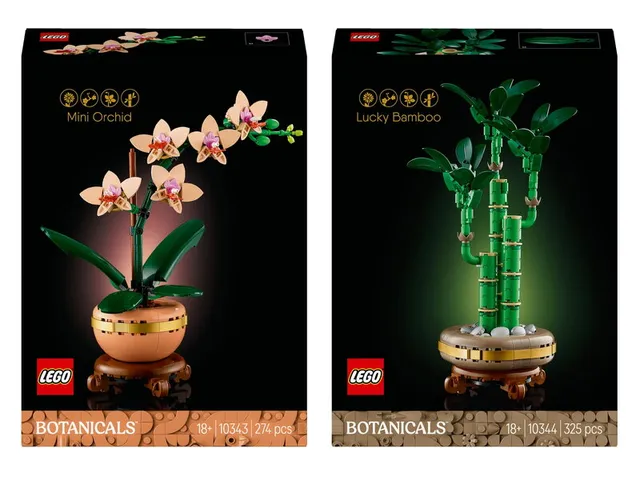 Botanical Collection Potted Plants Bundle
