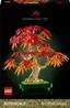 Botanicals Bonsaiträd: japansk lönn 10348