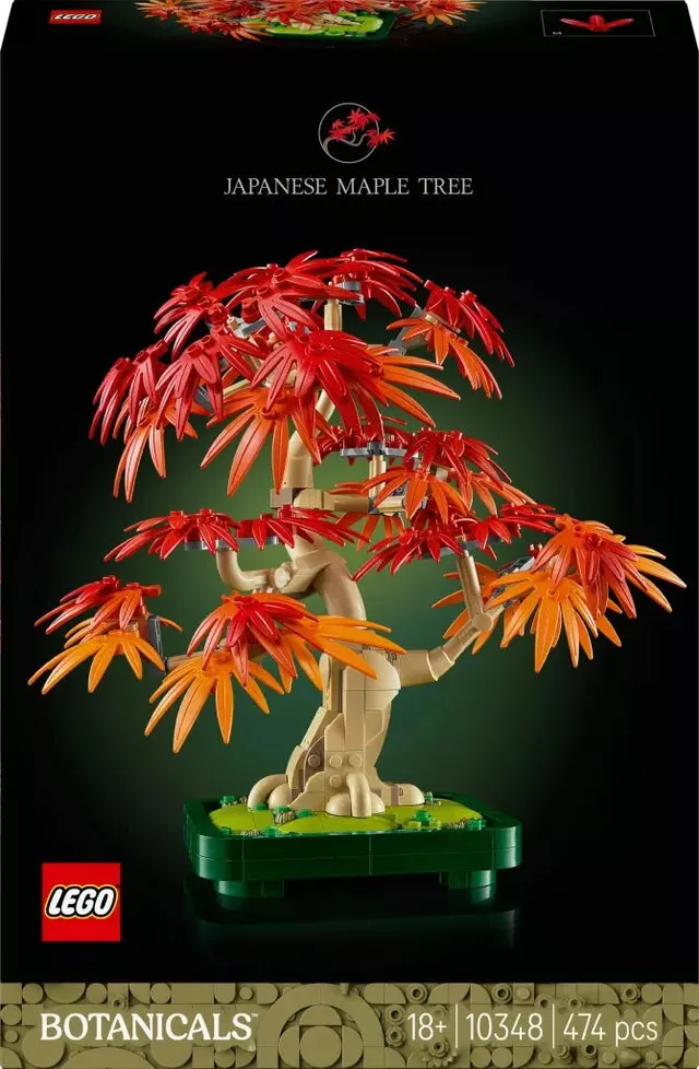 Botanicals Bonsaiträd: japansk lönn 10348