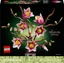 Botanicals Magnoliagrenar 11510
