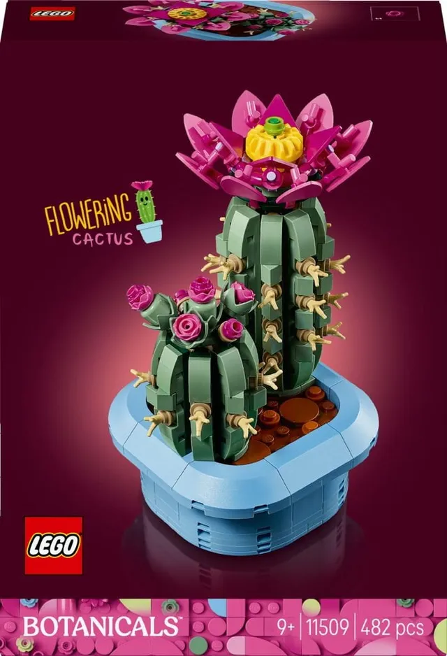 Botanicals Blommande kaktus 11509
